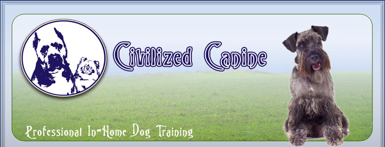 dog training dallas, plano in home dog training, personal dog training mckinney, professional dog training southlake, frisco house breaking dog, allen dog training