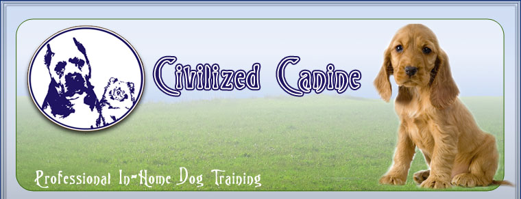 dog training dallas, plano in home dog training, personal dog training mckinney, professional dog training southlake, frisco house breaking dog, allen dog training