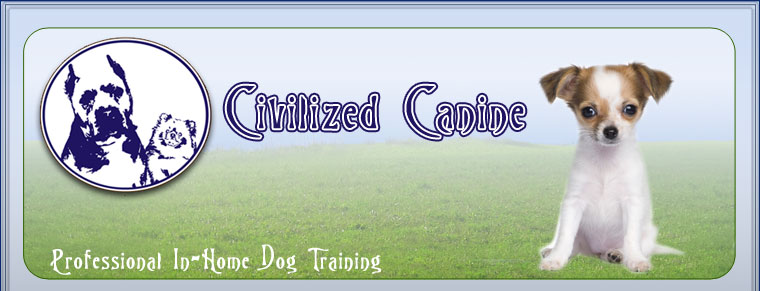 dog training dallas, plano in home dog training, personal dog training mckinney, professional dog training southlake, frisco house breaking dog, allen dog training