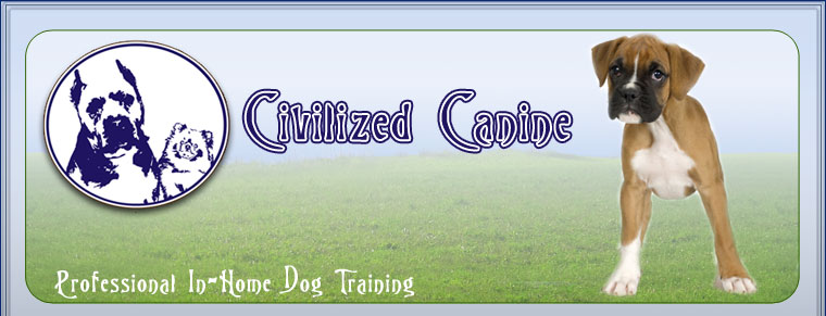 dog training dallas, plano in home dog training, personal dog training mckinney, professional dog training southlake, frisco house breaking dog, allen dog training