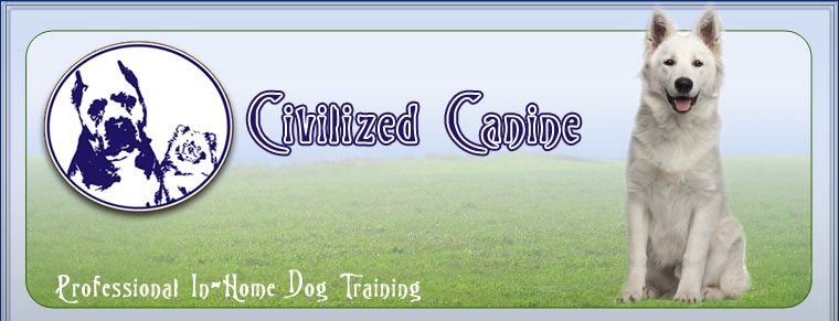 dog training dallas, plano in home dog training, personal dog training mckinney, professional dog training southlake, frisco house breaking dog, allen dog training