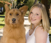 dog training dallas, plano in home dog training, personal dog training mckinney, professional dog training southlake, frisco house breaking dog, allen dog training
