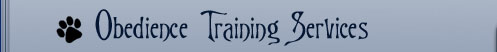 dog training dallas, plano in home dog training, personal dog training mckinney, professional dog training southlake, frisco house breaking dog, allen dog training