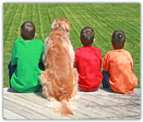 A dog and three children